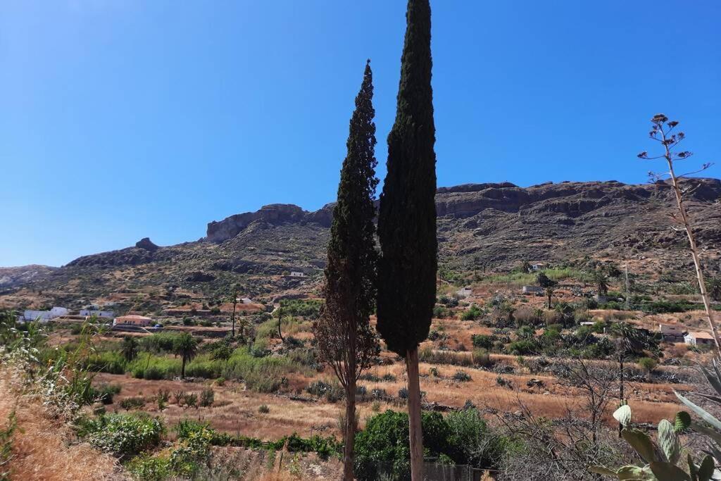 Casa Rural Los Cipreses. Cercados De Arana San Bartolomé Exteriér fotografie